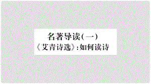 九年级语文上册 第1单元 名著导读（一）《艾青诗选》如何读诗习题课件 新人教版