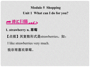 浙江省嘉興市秀洲區(qū)七年級(jí)英語下冊(cè) Module 5 Shopping Unit 1 What can I do for you課件 （新版）外研版