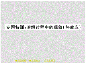 九年级化学下册 专题集训 溶解过程中的现象（热效应）习题课件 （新版）新人教版