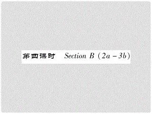 七年級英語下冊 Unit 5 Why do you like pandas（第4課時）Section B（2a3b）習題課件 （新版）人教新目標版