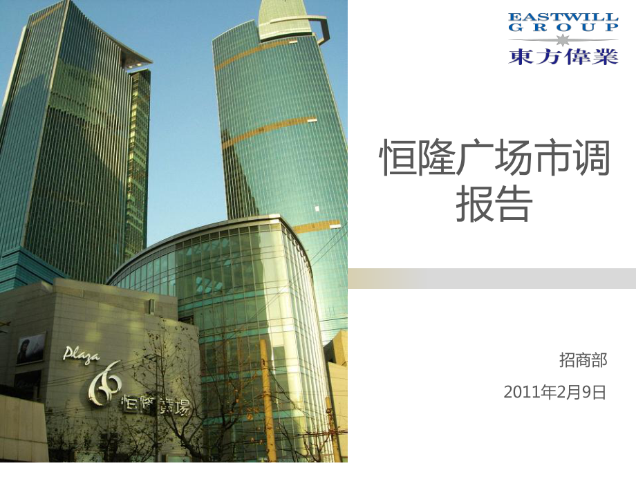 2月上海恒隆广场市调报告_第1页