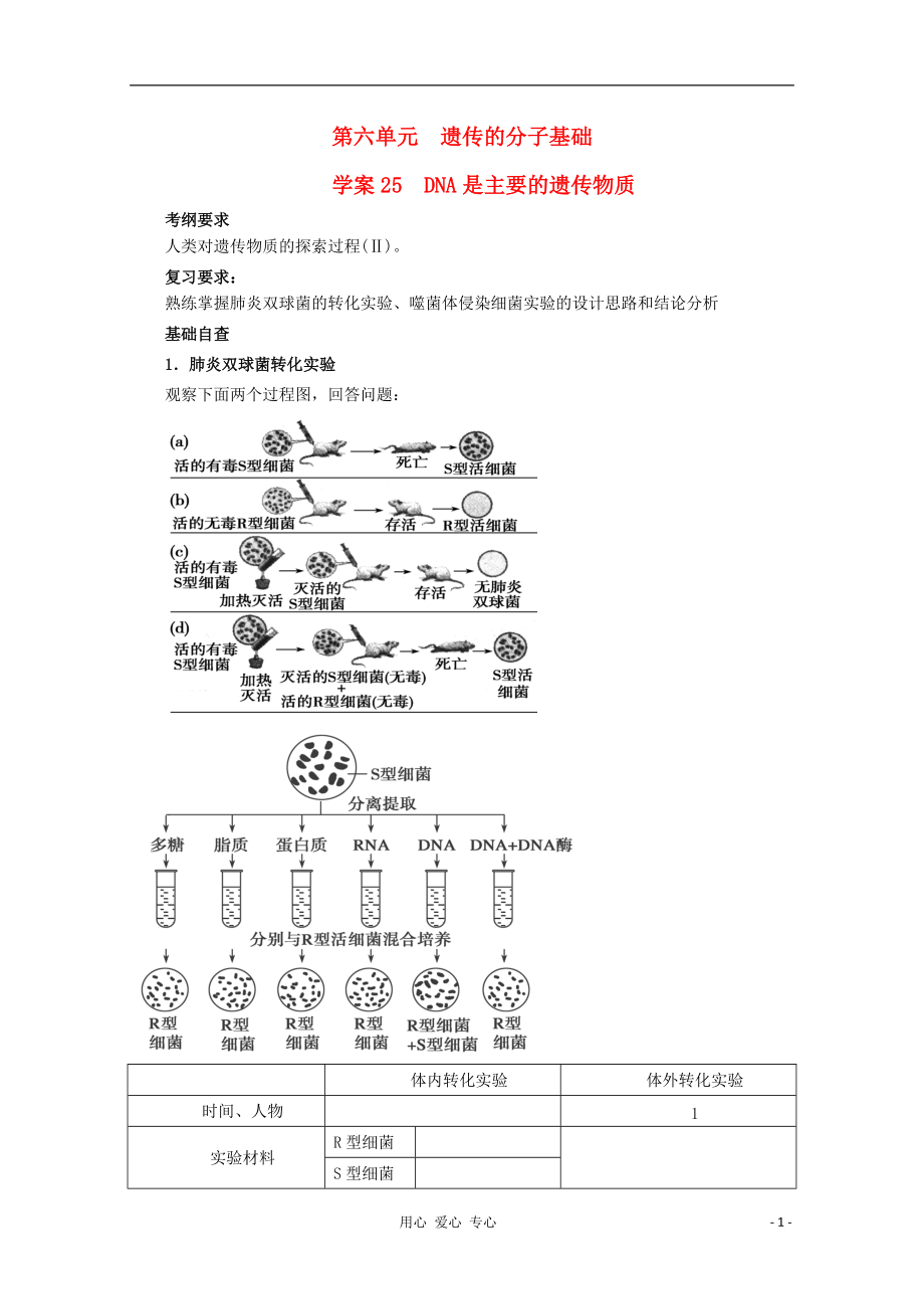 高考生物起点一轮复习第六单元DNA是主要的遗传物质学案_第1页