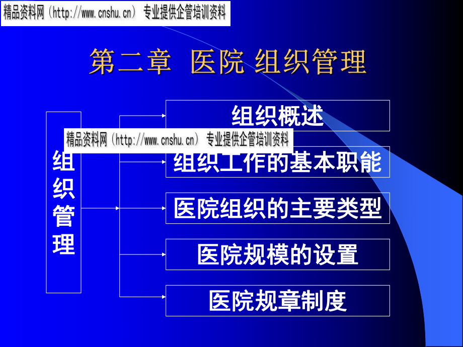 现代医院组织管理方案研讨_第1页