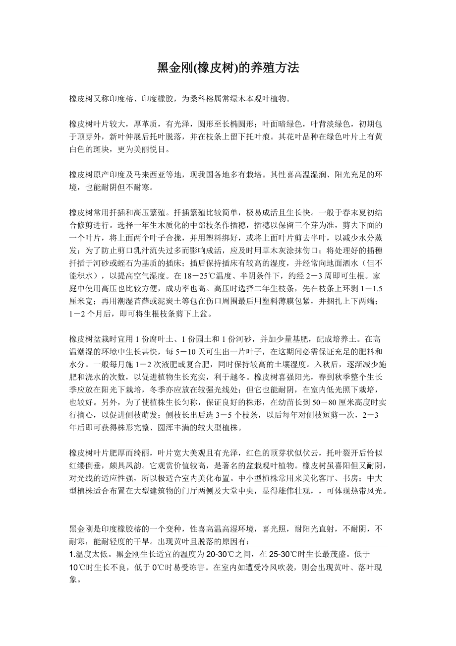 黑金刚橡皮树的养殖方法_第1页