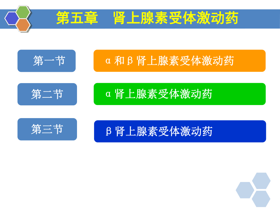 藥理學(xué)：第五章腎上腺素受體激動(dòng)藥_第1頁(yè)