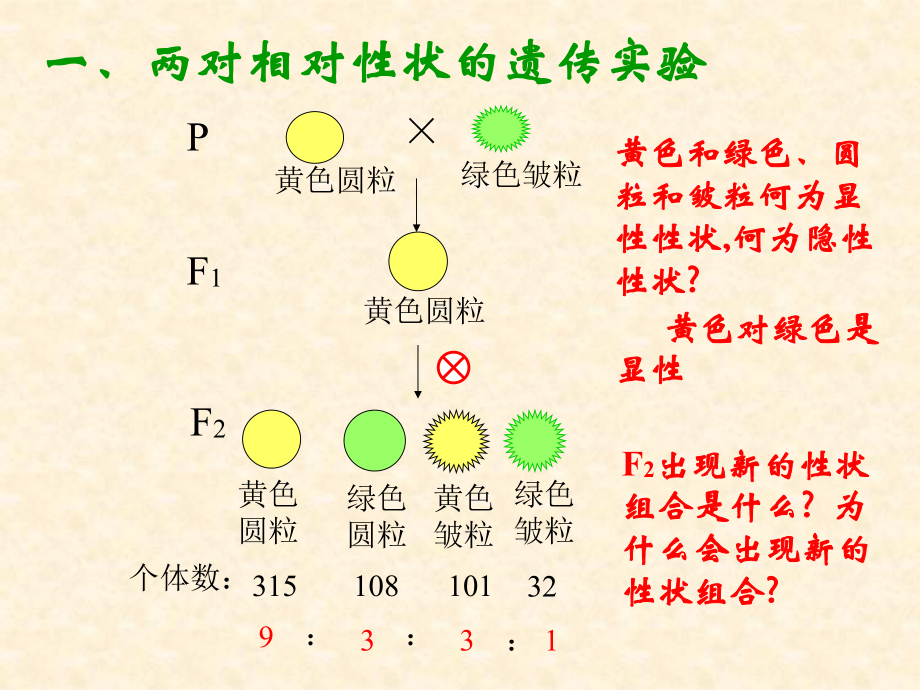 孟德爾的豌豆雜交實驗2