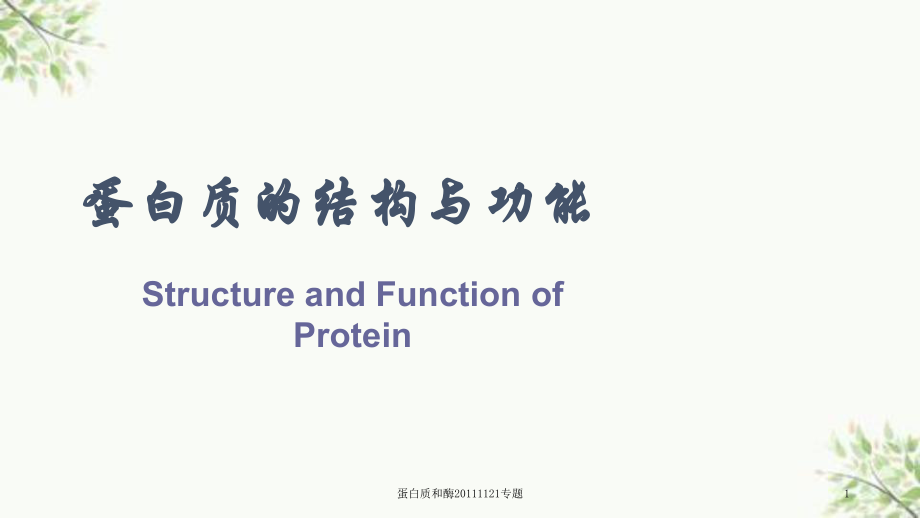 蛋白质和酶1121专题课件_第1页
