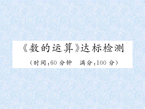 小升初數(shù)學(xué)專題復(fù)習(xí)習(xí)題課件－專題2數(shù)的運(yùn)算數(shù)的運(yùn)算達(dá)標(biāo)檢測(cè)｜人教新課標(biāo) (共22張PPT)教學(xué)文檔