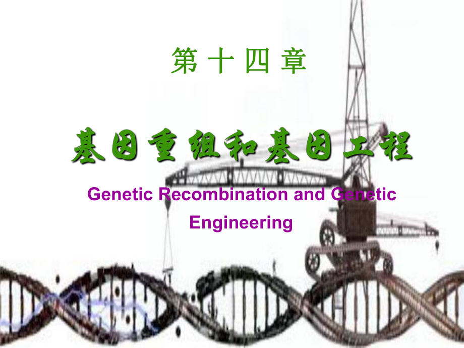 14第十四章基因工程_第1页