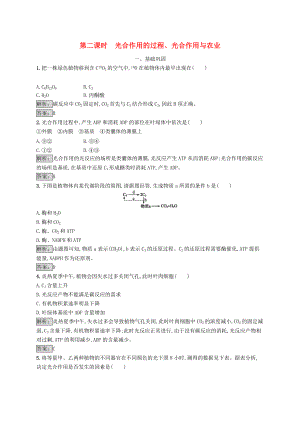 高中生物 第5章 細胞的能量代謝 5.3.2 光合作用的過程、光合作用與農業(yè)練習 北師大版必修2