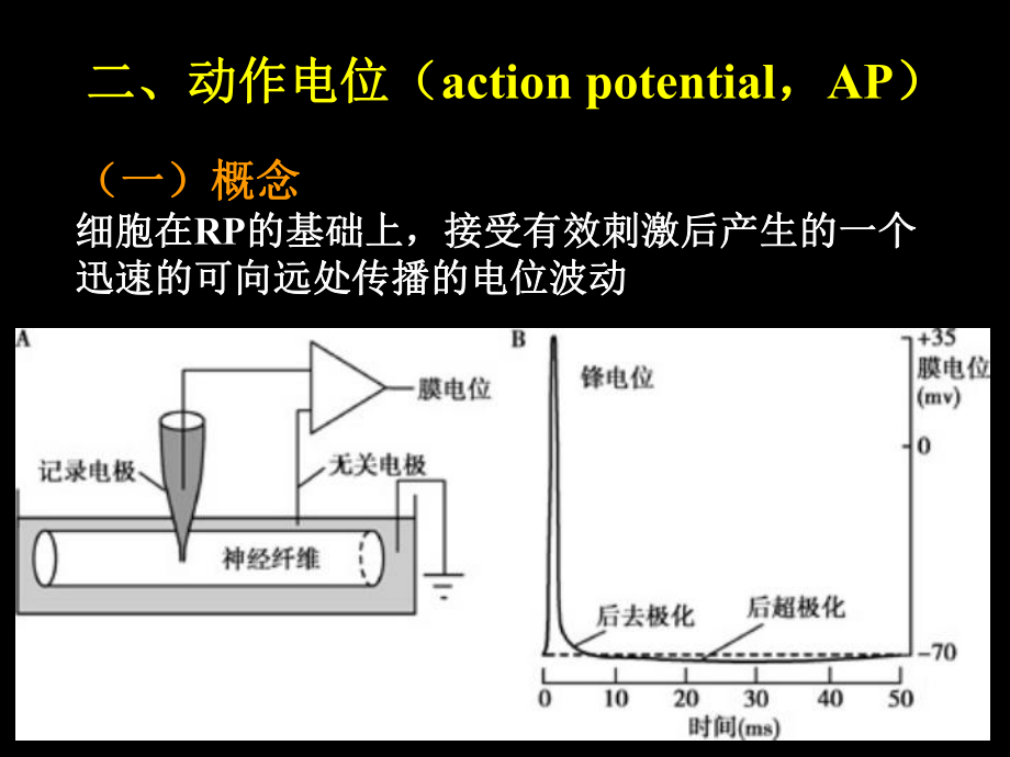 生理学：第二章 细胞的基本功能3-1_第1页