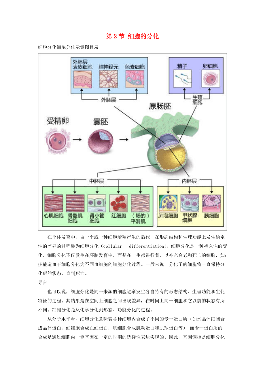 高中生物 第四章 細胞的增殖與分化 4.2 細胞的分化2素材 浙科版必修1_第1頁