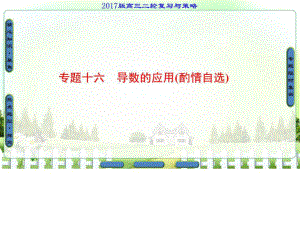 ..二輪復(fù)習(xí)與策略課件 專題16 導(dǎo)數(shù)的應(yīng)用(酌情自選)