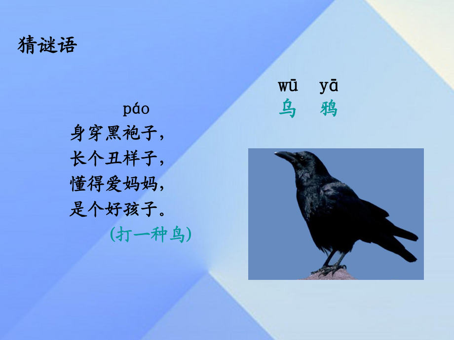 一年級(jí)下冊(cè)語(yǔ)文課件 13.烏鴉喝水 人教部編版 (共17張PPT)教學(xué)文檔_第1頁(yè)