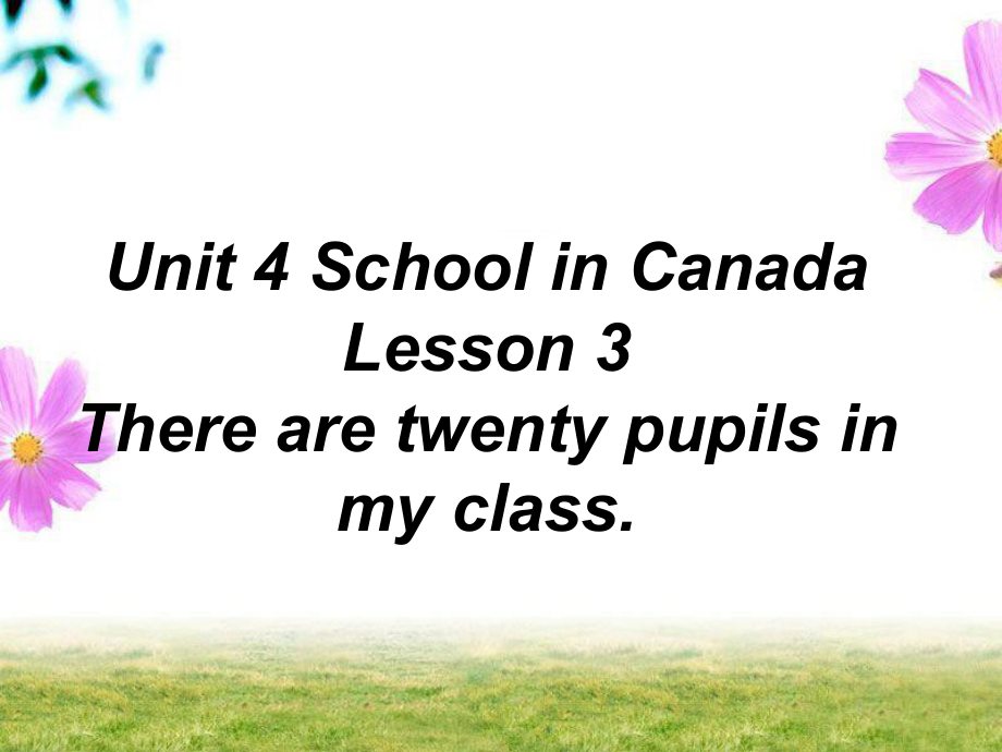 Unit 4 School in Canada Lesson 3 There are twenty pupils in my class 魯科版五四學(xué)制三起教學(xué)文檔_第1頁(yè)