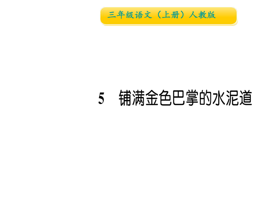 三年級上冊語文習題課件5 鋪滿金色巴掌的水泥道∣人教部編版 (共12張PPT)教學文檔_第1頁