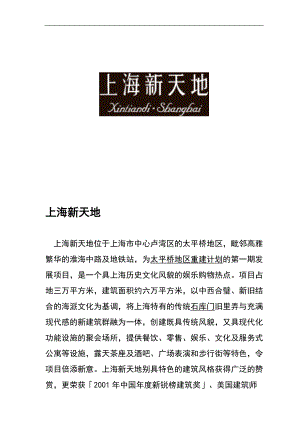上海新天地商业项目市场定位策划案
