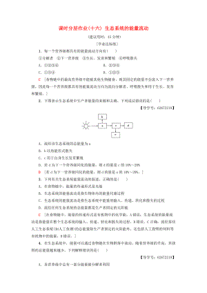 高中生物 課時(shí)分層作業(yè)16 生態(tài)系統(tǒng)的能量流動(dòng) 新人教版必修3