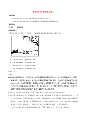 高考語文三輪沖刺 專題16 語言運用之圖文講含解析