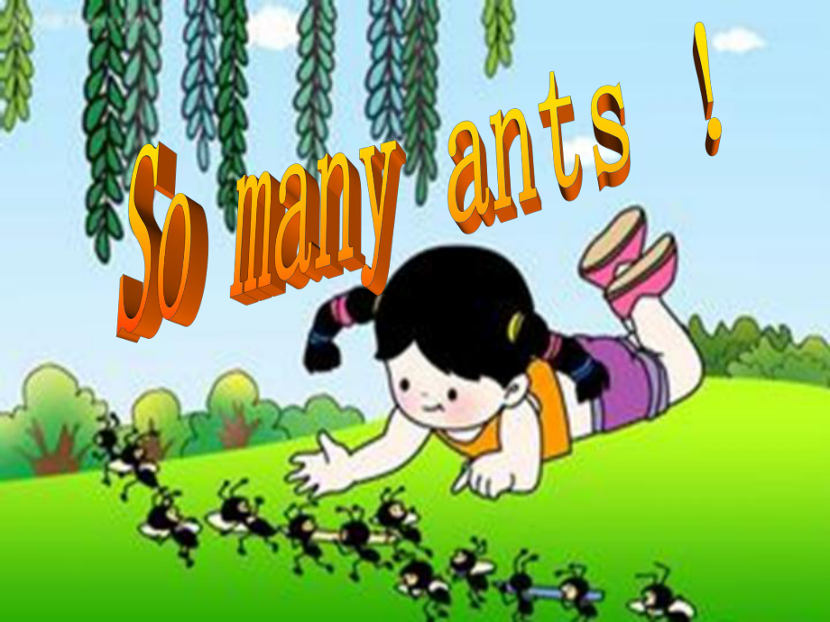 三年級(jí)下冊(cè)英語課件LessonWSo many ants !∣川教版(三年級(jí)起點(diǎn)) (共22張PPT)_第1頁