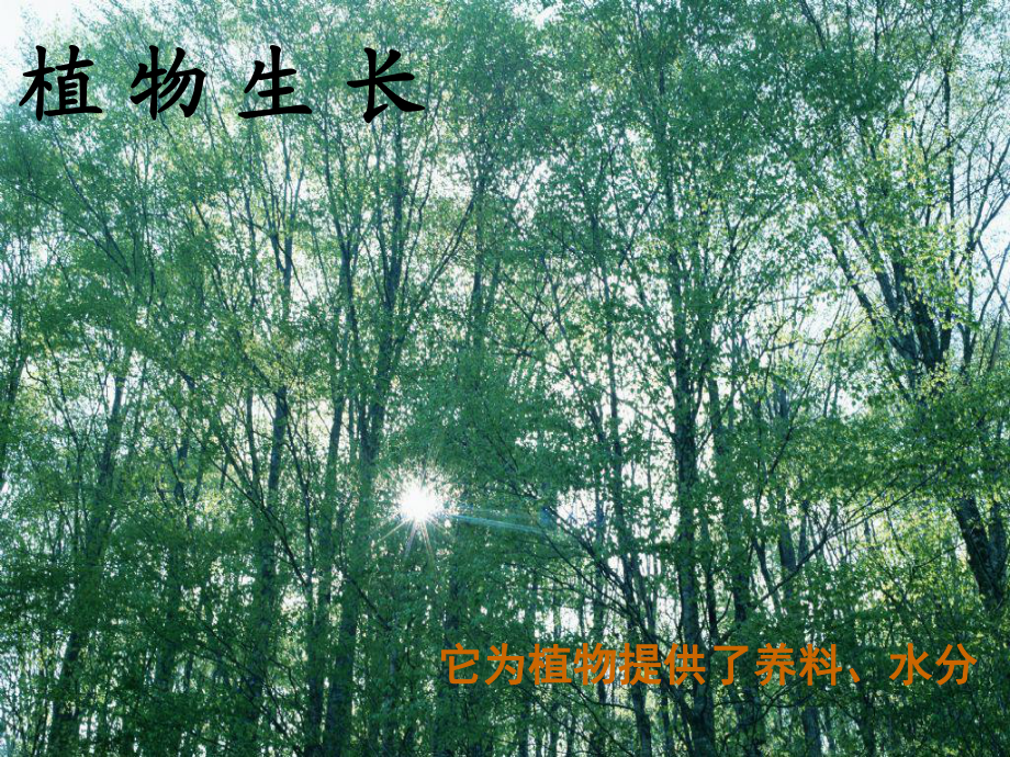 三年級下冊科學(xué)科課件－土壤的保護(hù)｜人教版 (共12張PPT)教學(xué)文檔_第1頁