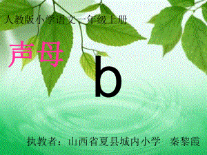 一年級(jí)上冊(cè)語(yǔ)文課件 漢語(yǔ)拼音3b p m f人教部編版 (共13張PPT)