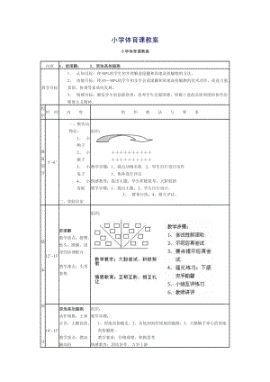 小學(xué)體育課教案 (3)