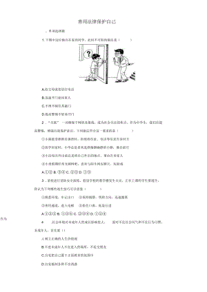 《善用法律保護自己》同步練習(xí)2(二)