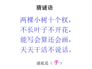 一年級(jí)上冊(cè)語(yǔ)文課件－識(shí)字二6畫(huà)｜人教部編版 (共25張PPT)