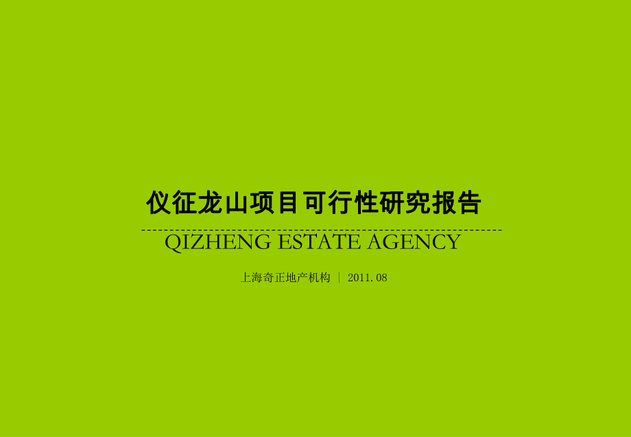 扬州市仪征龙山项目可行性报告2稿_第1页