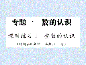 小升初數學專題復習習題課件－專題1數的認識課時練習1整數的認識｜人教新課標 (共17張PPT)