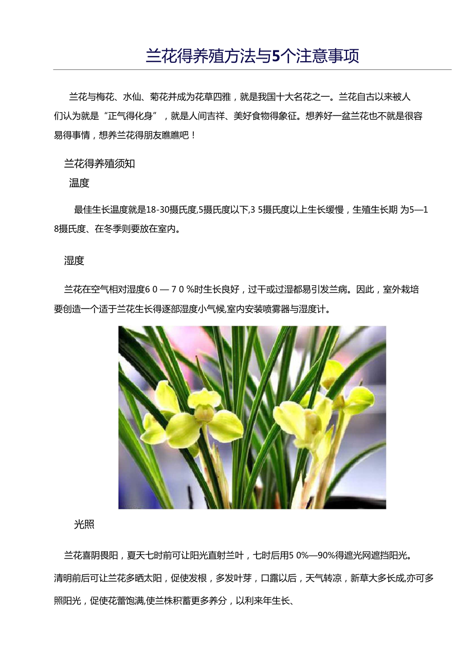 红草兰花养殖方法图片