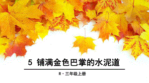 三年級(jí)上冊(cè)語(yǔ)文課件5 鋪滿金色巴掌的水泥道人教部編版 (共41張PPT)教學(xué)文檔