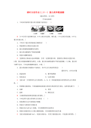 高中化學(xué) 課時分層作業(yè)21 蛋白質(zhì)和氨基酸 蘇教版必修2