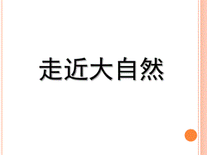 一年級下冊美術(shù)課件走近大自然2 人教新課標(共15張PPT)