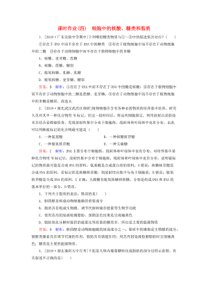 高考生物一輪復習 課時作業(yè)4 細胞中的核酸、糖類和脂質