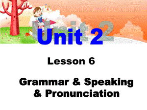 Unit2Lesson6Grammar,Speaking,Pronunciation