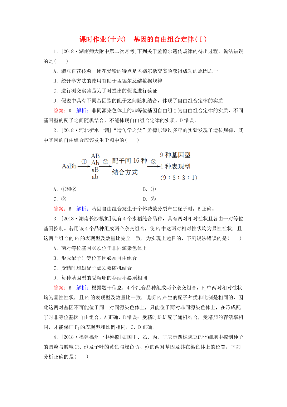 高考生物一輪復(fù)習(xí) 課時(shí)作業(yè)16 基因的自由組合定律Ⅰ_第1頁