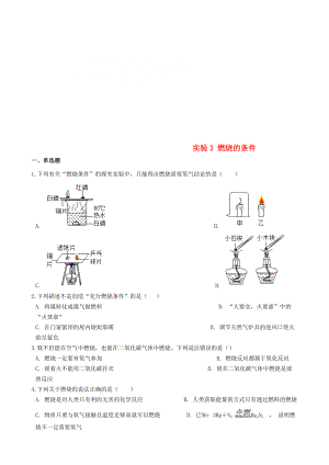 九年級化學(xué)上冊 學(xué)生實驗 實驗3 燃燒的條件同步測試題 新版湘教版