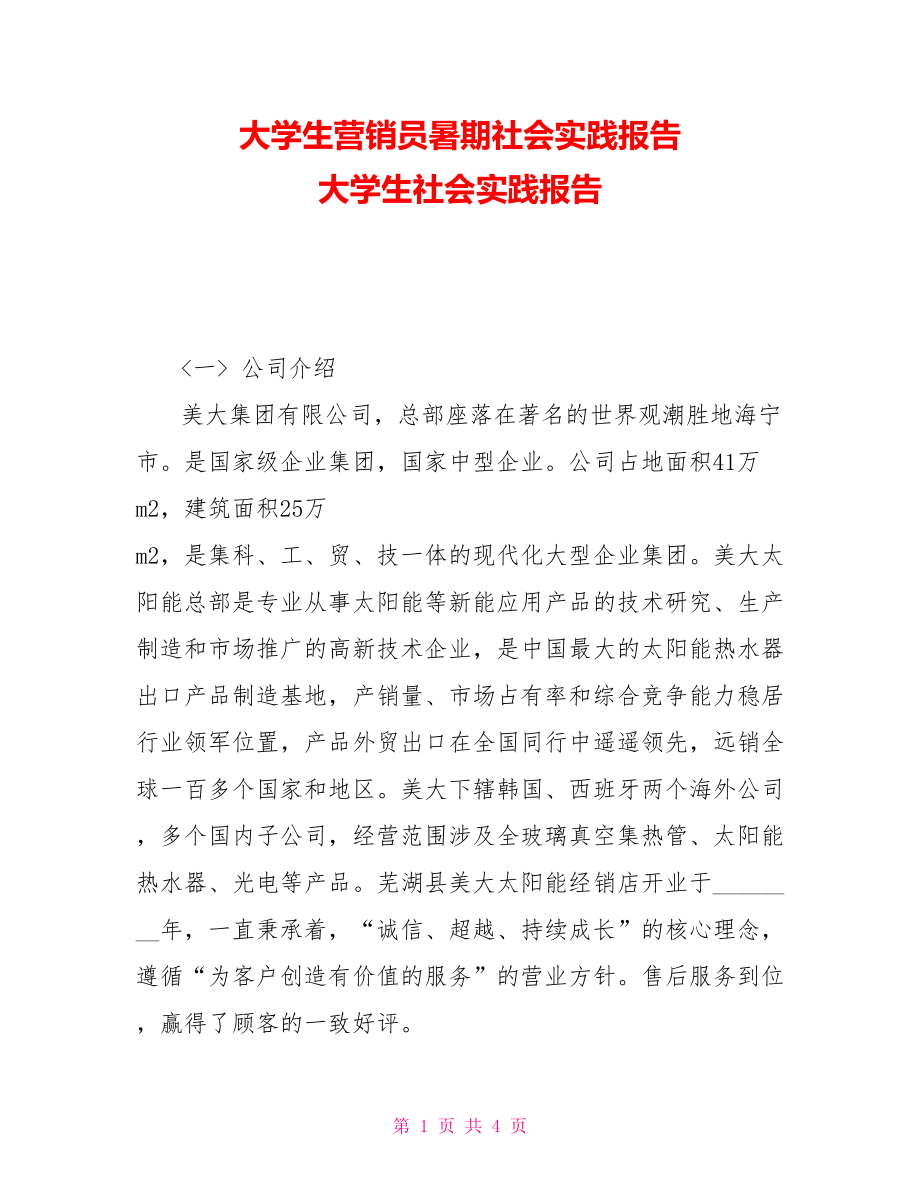 大學生營銷員暑期社會實踐報告 大學生社會實踐報告_第1頁