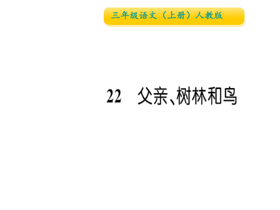 三年級(jí)上冊(cè)語文習(xí)題課件22 父親、樹林和鳥∣人教部編版 (共15張PPT)教學(xué)文檔_第1頁