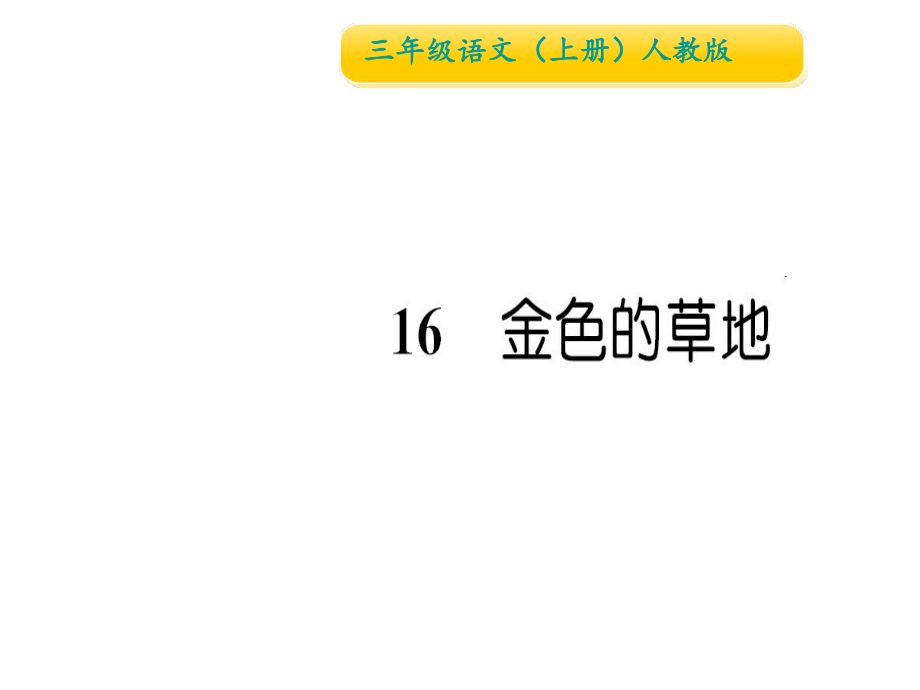 三年級上冊語文習題課件16 金色的草地∣人教部編版 (共13張PPT)教學文檔_第1頁