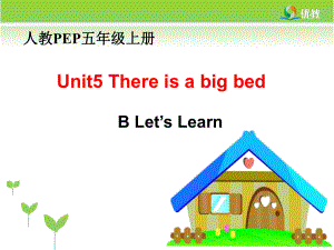Unit5Thereisabigbed第5课时教学课件(16.12.20)