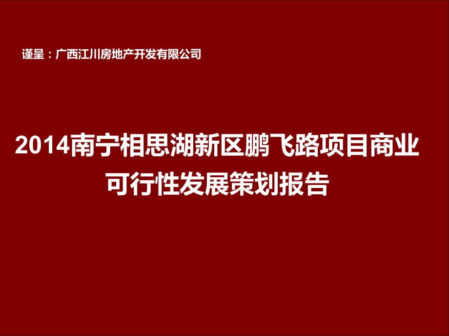 南宁相思湖新区鹏飞路项目商业可行性发展策划报告102页_第1页