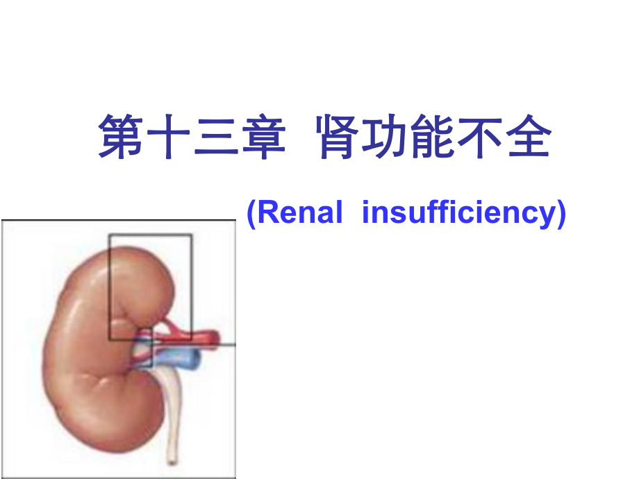 兽医病理生理学：13第十三章肾功能不全_第1页