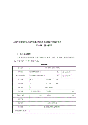 上海市危险化学品从业单位重大危险源安全现状评估指导文本