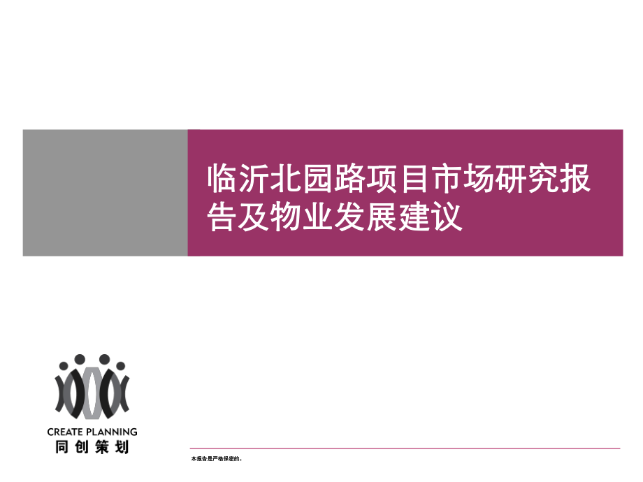 山东临沂北园路商住项目市场报告及发展建议190P_第1页