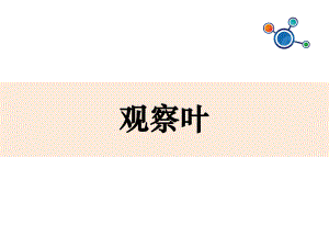 一年級(jí)上冊(cè)科學(xué)課件觀察葉∣全國(guó)通用 (共23張PPT)