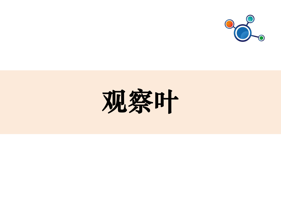 一年級(jí)上冊(cè)科學(xué)課件觀察葉∣全國通用 (共23張PPT)_第1頁