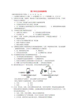 九年級化學(xué)上冊 第六單元 達標(biāo)檢測卷 新版新人教版